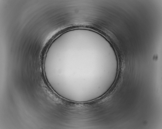 X0000114021022200910231832