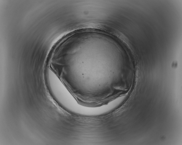 X0000114021024200910231832