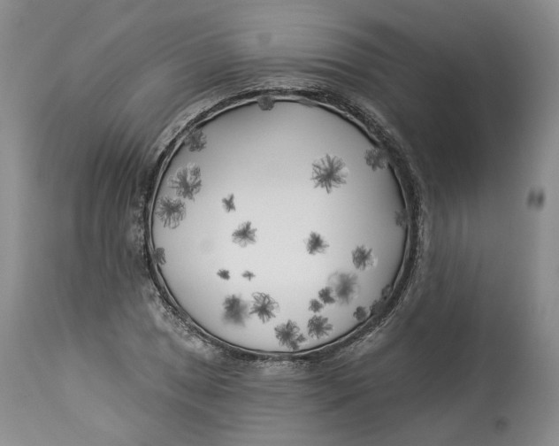 X0000114021025200910231832