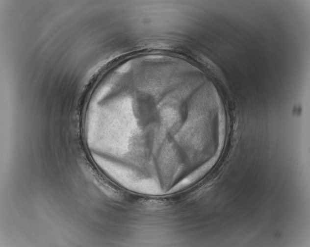 X0000114021027200910231832