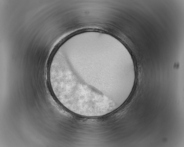 X0000114021028200910231832