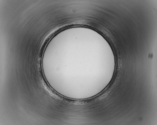 X0000114021029200910231832