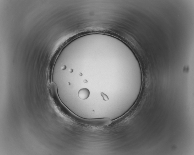 X0000114021030200910231832