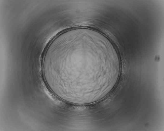 X0000114021031200910231832