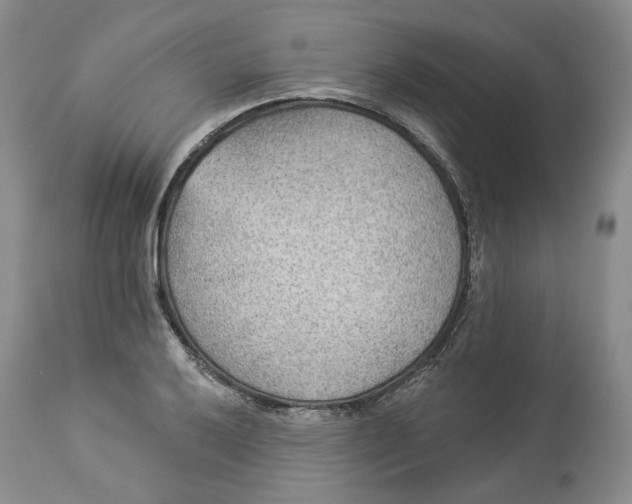 X0000114021032200910231832