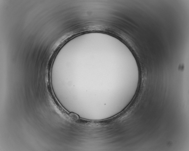 X0000114021034200910231832