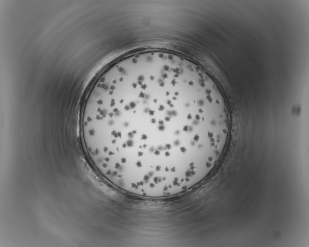 X0000114021036200910231832