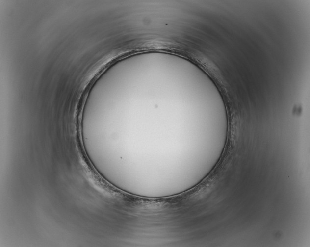 X0000114021039200910231832