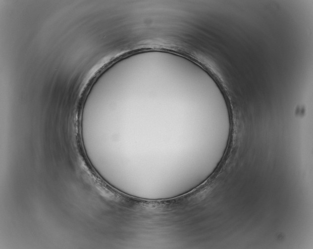 X0000114021040200910231832