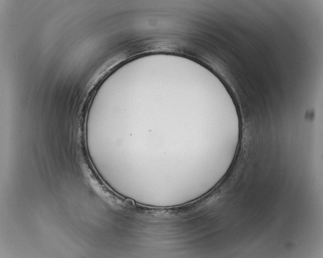 X0000114021042200910231832