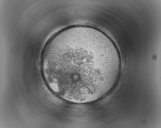 X0000114021045200910231832