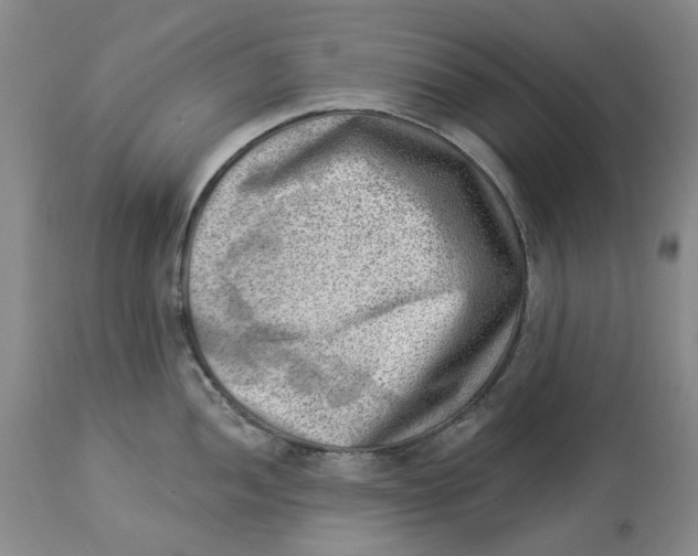 X0000114021052200910231833