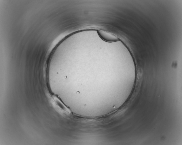 X0000114021054200910231833