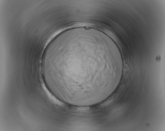 X0000114021055200910231833