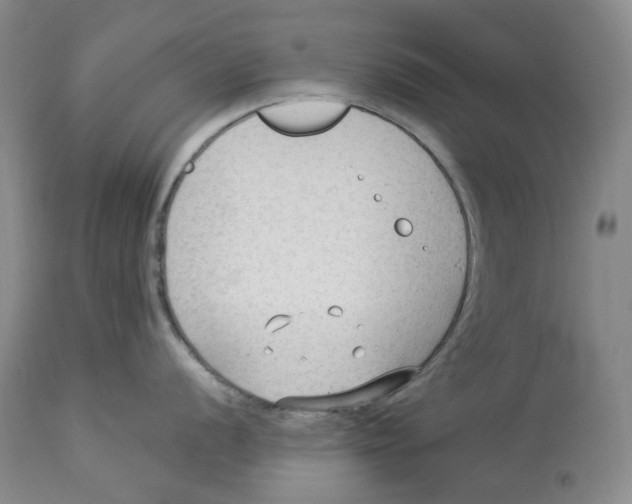 X0000114021056200910231833