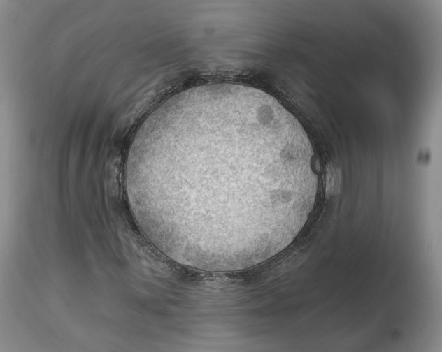 X0000114021059200910231832