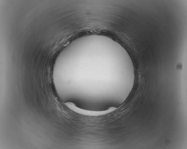 X0000114021060200910231832