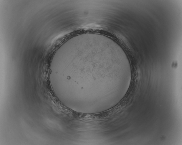 X0000114021063200910231832