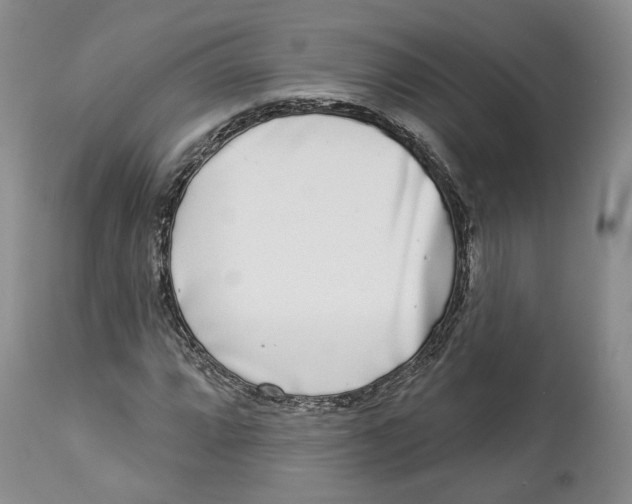 X0000114021064200910231832