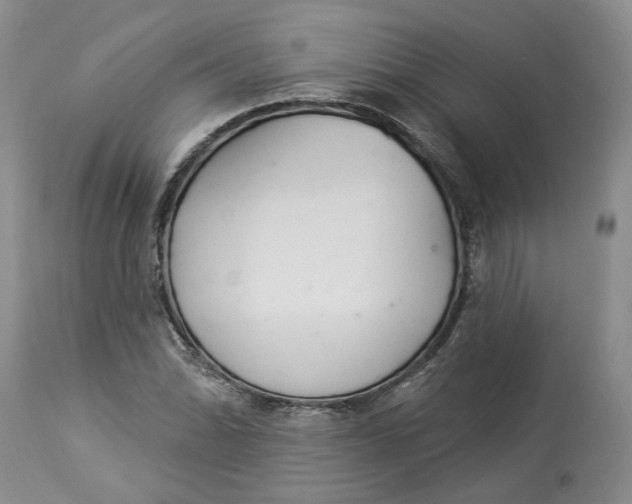 X0000114021070200910231832