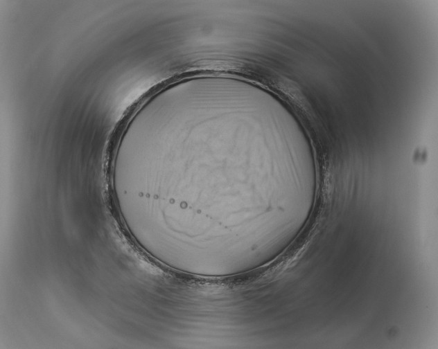 X0000114021071200910231832