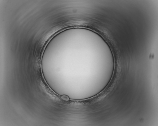 X0000114021073200910231832