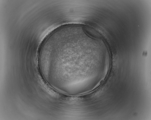 X0000114021077200910231831