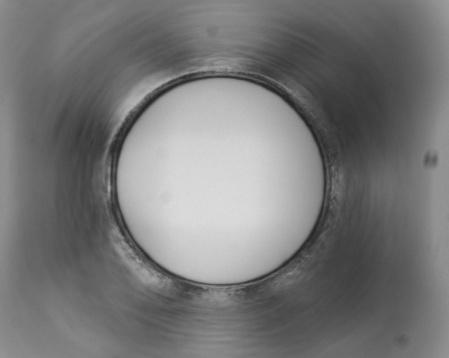 X0000114021078200910231831