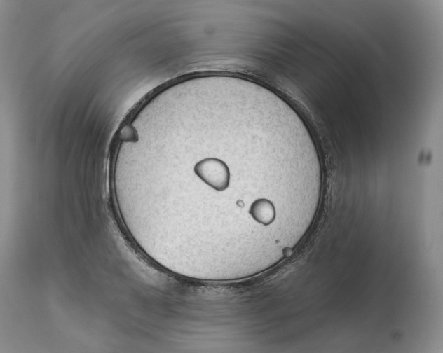 X0000114021079200910231831