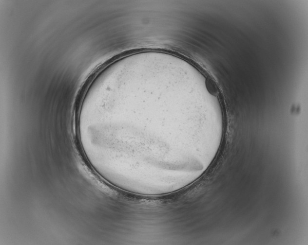 X0000114021080200910231831