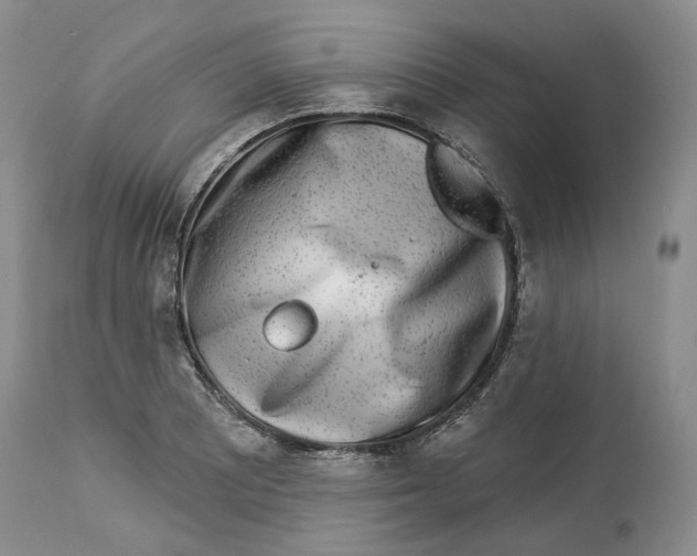 X0000114021081200910231831