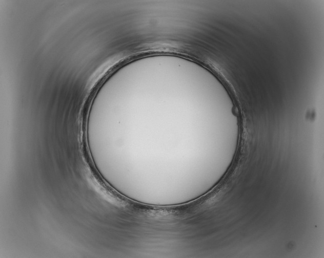 X0000114021082200910231831