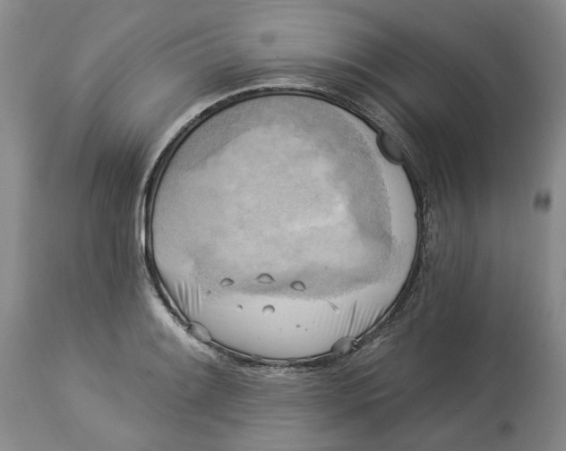 X0000114021084200910231831