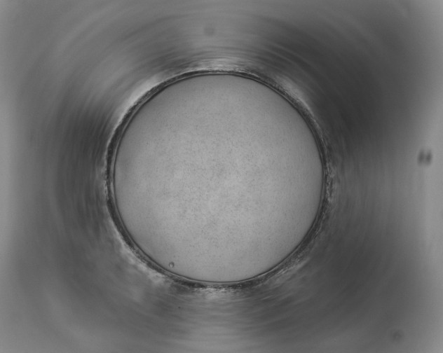 X0000114021087200910231831