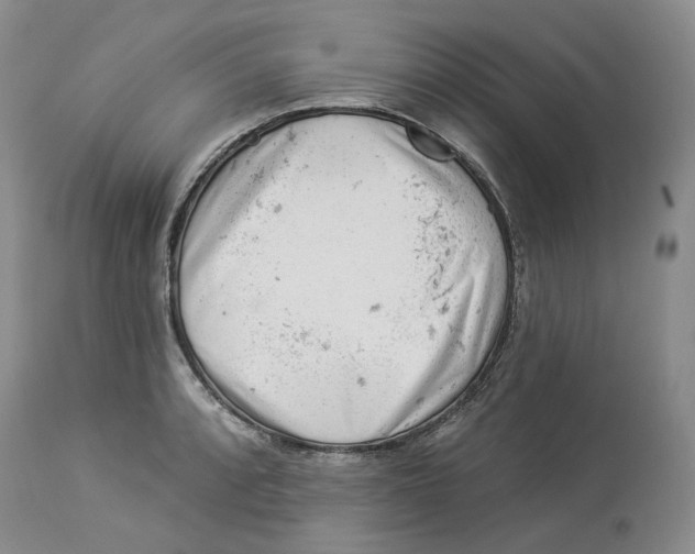 X0000114021088200910231831