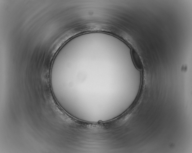 X0000114021089200910231831