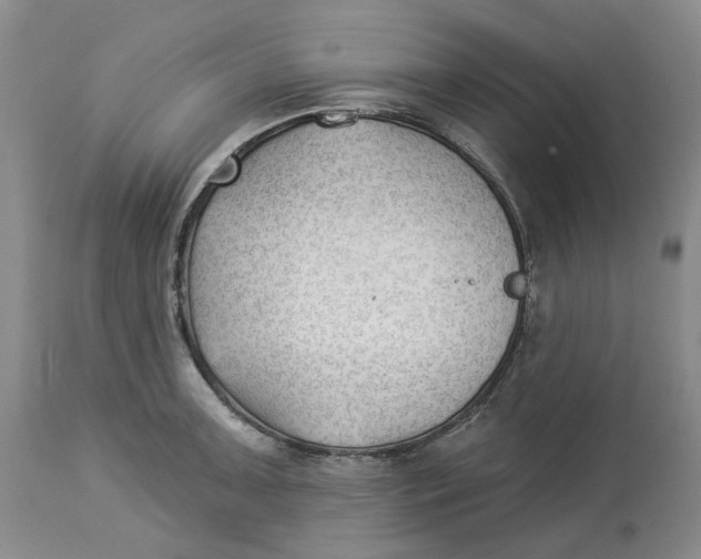 X0000114021091200910231831