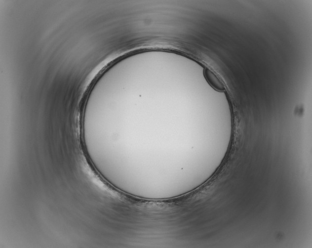 X0000114021092200910231831