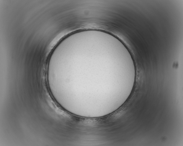 X0000114021094200910231831