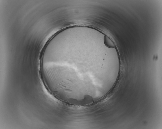 X0000114021095200910231831