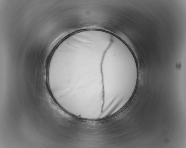 X0000114021096200910231831