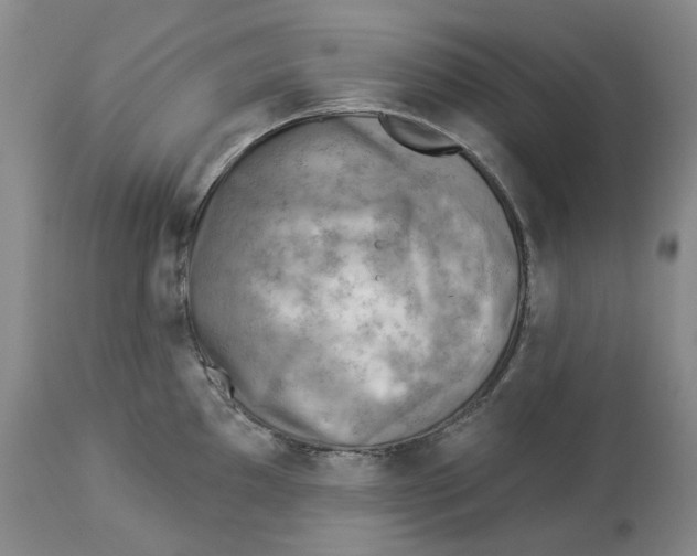 X0000114021097200910231831