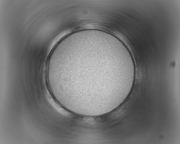 X0000114021098200910231831