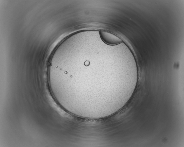 X0000114021099200910231831