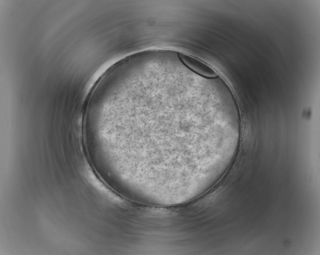 X0000114021100200910231831