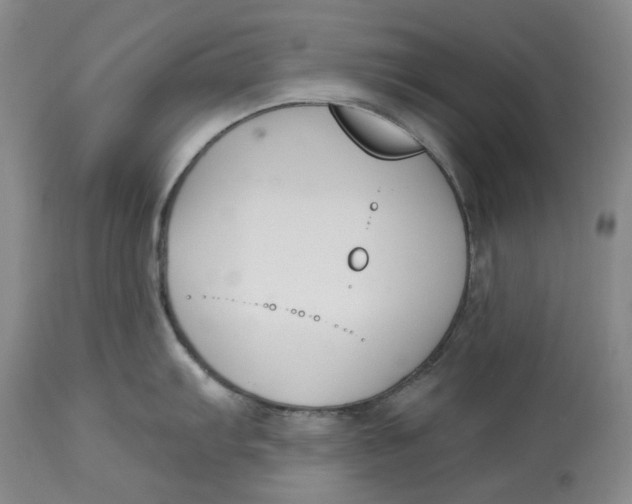 X0000114021103200910231831