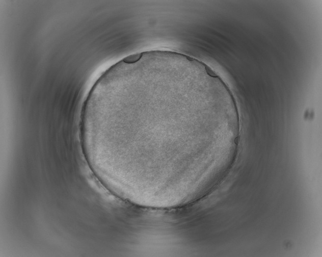 X0000114021104200910231831