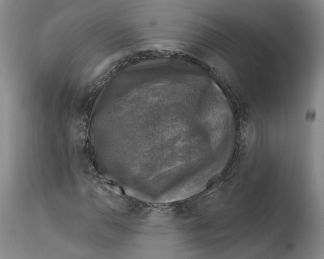 X0000114021110200910231830