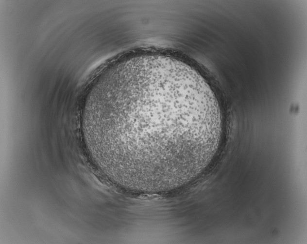 X0000114021112200910231831