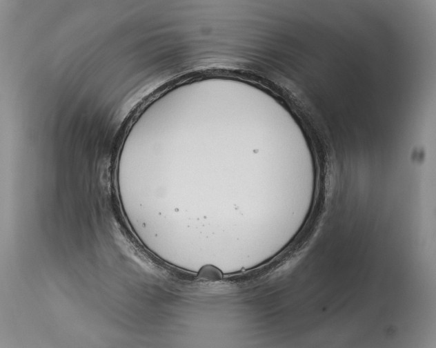 X0000114021113200910231831